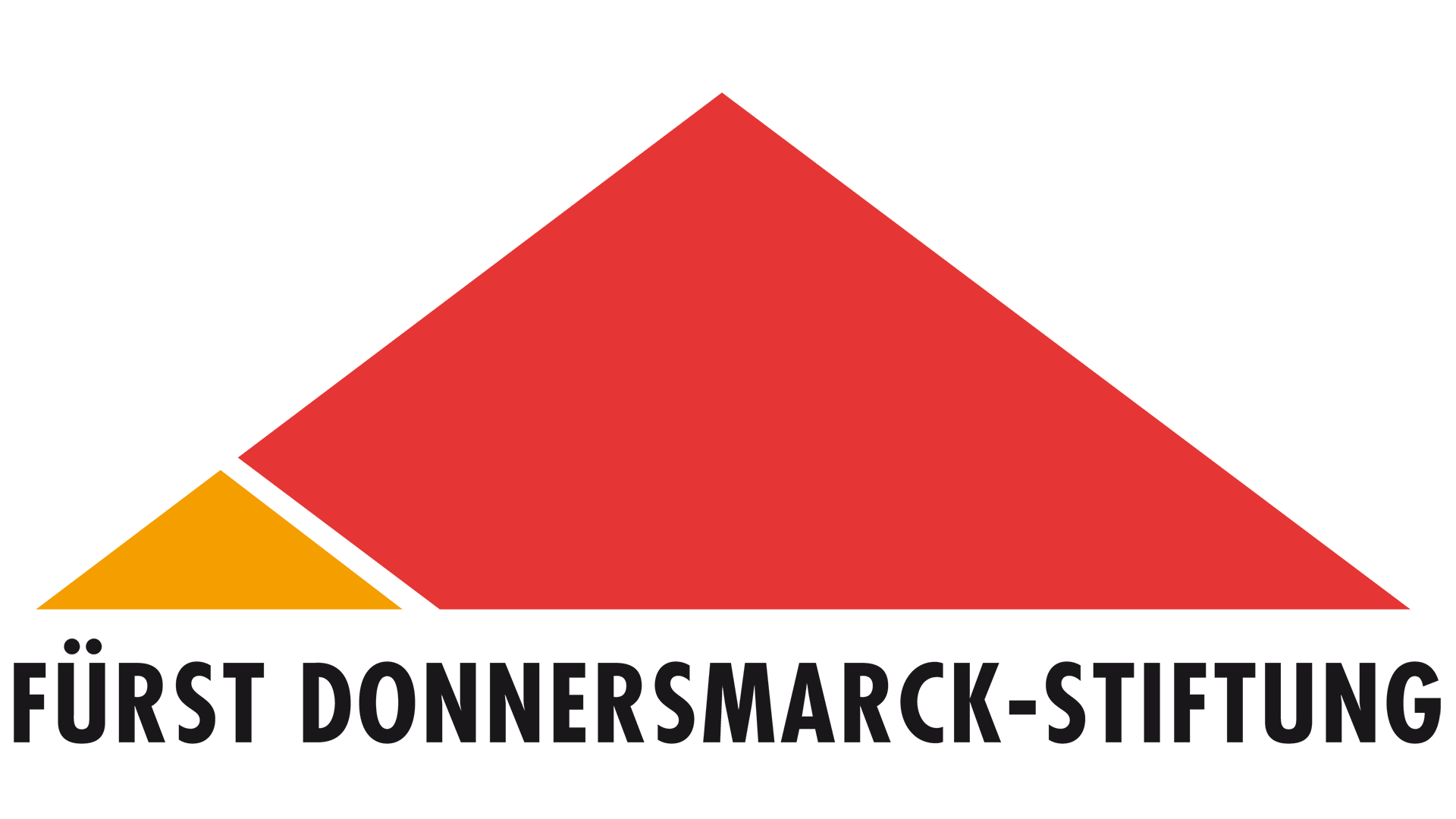 Logo Fürst Donnersmarck-Stiftung